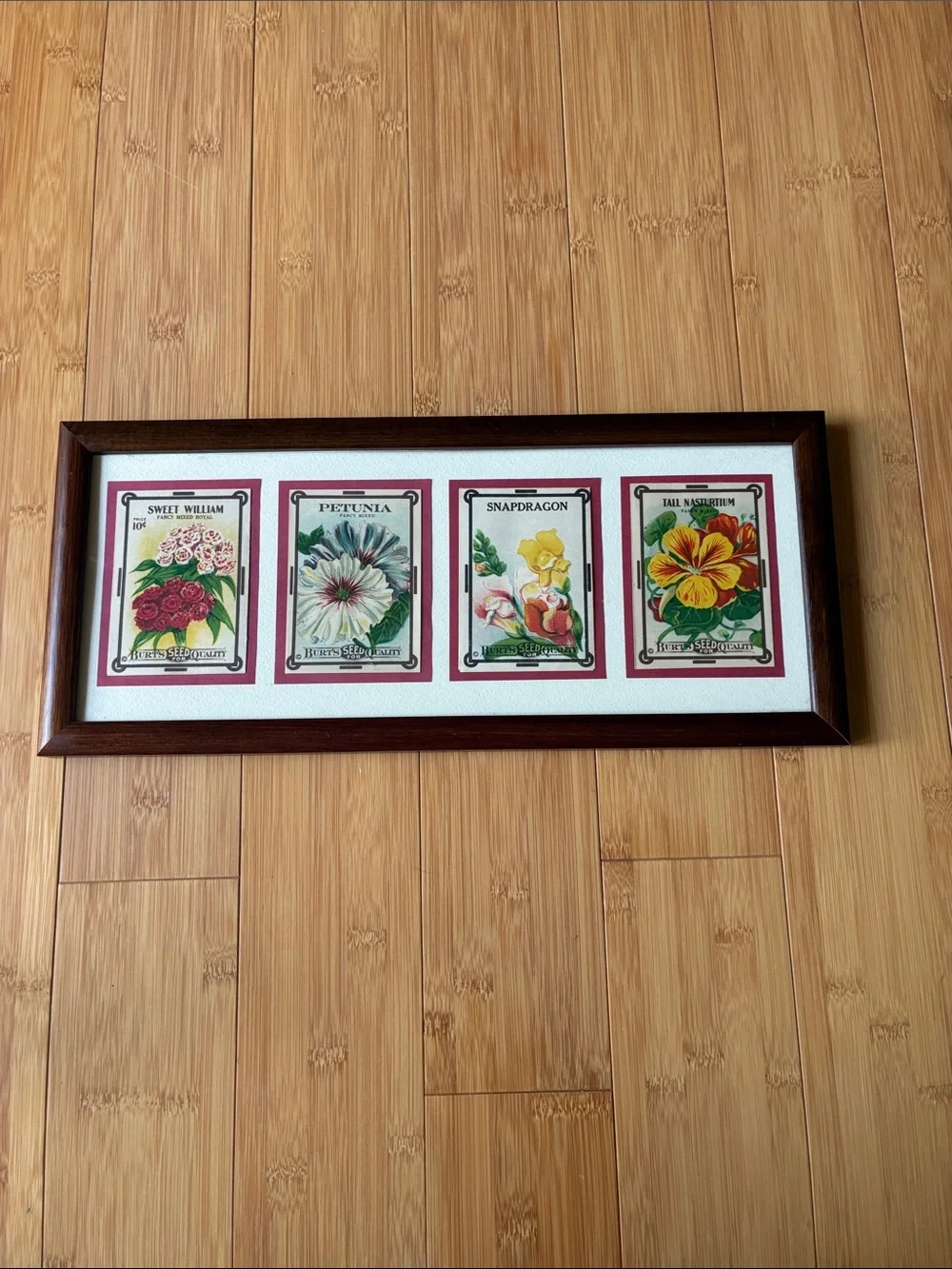 Vintage Burt’s Seed Packet Wall Art | Framed Botanical Kitchen Decor | Cottage